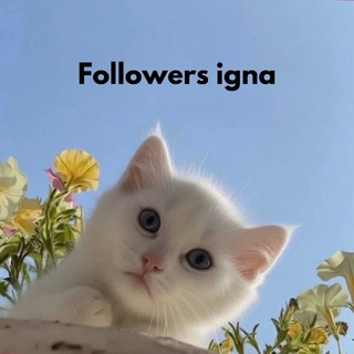 @followers_views_like_instagrama avatar