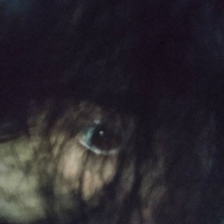 @godforgotagain avatar