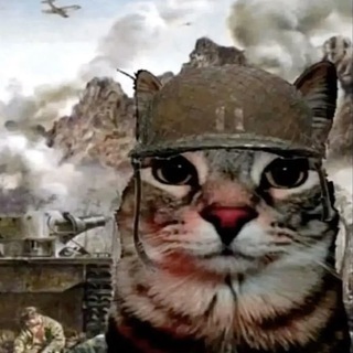 @hells_tag avatar