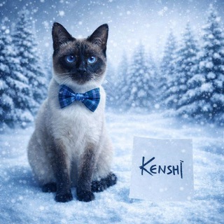 @kenshi_tag avatar
