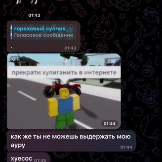 @papka_tag avatar
