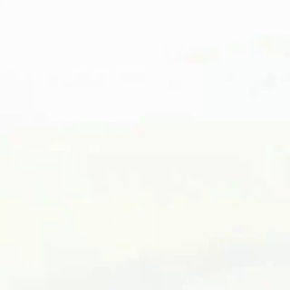 @t_o_n_k_e_e_p_e_r avatar