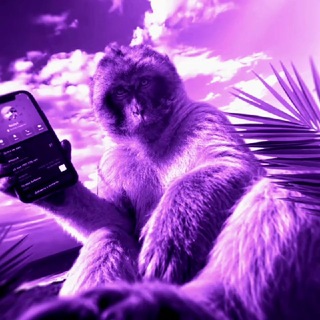 @tagport avatar