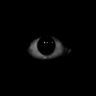 @u_s_e_r_n_a_m_e avatar