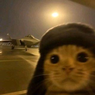 @w_o_r_k_s_c_a_m avatar